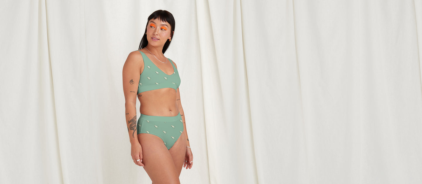 Stretch Cotton High-Waist Brief | T-Rex