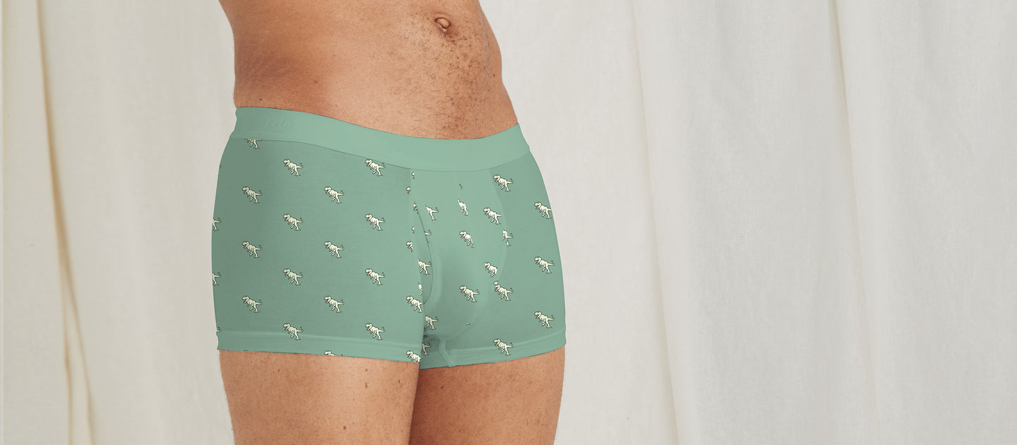 Stretch Cotton Trunk w/ Fly | T-Rex