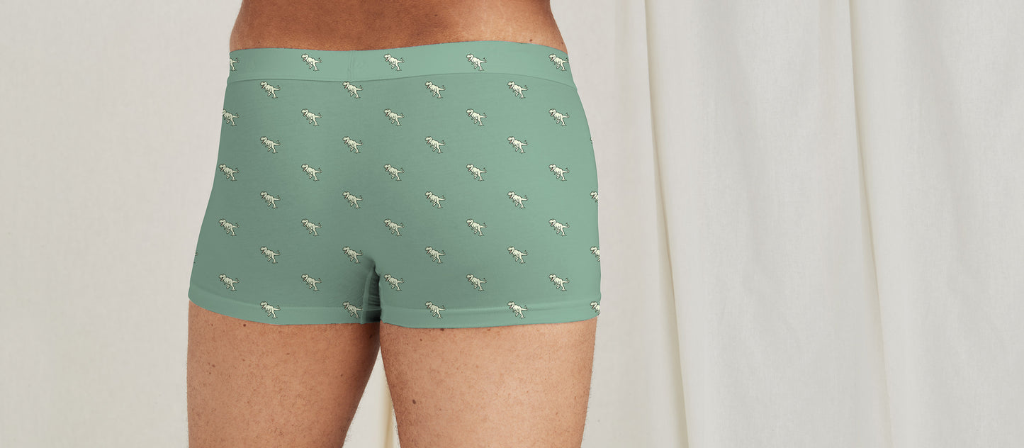 Stretch Cotton Trunk w/ Fly | T-Rex